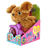 Sevimli Koşu Arkadaşım Golden