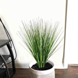 Yapay Çiçek Saz 60 cm Plants Grass  3Adet Dekoratif Çiçek 