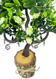 Yapay Çiçek Beyaz Çiçekli Bonsai Ağacı Dekoratif Kütük Saksıda Yapay Ağaç Bonzai Losus Çiçekli