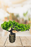 Yapay Çiçek Bonsai Ağacı Kütük Saksıda Yatık Akasya  Dekoratif Yapay Ağaç Bonzai 30*20 CM