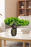 Yapay Çiçek Bonsai Ağacı Kütük Saksıda Yatık Akasya  Dekoratif Yapay Ağaç Bonzai 30*20 CM