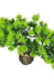 Yapay Çiçek Bonsai Ağacı Kütük Saksıda Yatık Akasya  Dekoratif Yapay Ağaç Bonzai 30*20 CM