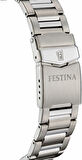 Festina F20698-3