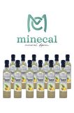 %100 Ev Yapımı Katkısız Ananas Sirkesi 12x500ml