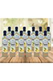 %100 Ev Yapımı Katkısız Ananas Sirkesi 12x500ml