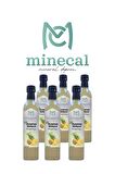 %100 Ev Yapımı Katkısız Ananas Sirkesi 6x500ml