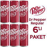 Dr Pepper Regular 330ml 6'lı Paket