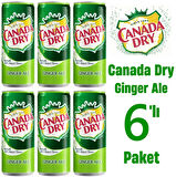 Canada Dry Ginger Ale 330ml 6'lı Paket