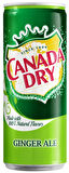 Canada Dry Ginger Ale 330ml 6'lı Paket