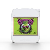 Advanced Nutrients Big Bud 5 Litre
