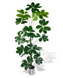 Yapay Ağaç Şeflera 18 Dallı Çalılı Gövde 120x60cm Gümüş Aleminyum Saksıda