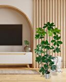 Yapay Ağaç Şeflera 18 Dallı Çalılı Gövde 120x60cm Gümüş Aleminyum Saksıda