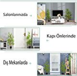 Yapay Ağaç Bambu Ağacı 3 Gövdeli 100*40cm Siyah Plastik Saksılı