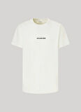 Pepe Jeans Bisiklet Yaka Baskılı Taş Erkek T-Shirt PM509226 837 CLAYTON