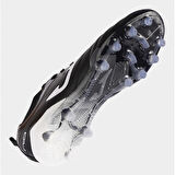 NUMERO-10 2401 BLACK WHITE FIRM GROUND