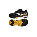 POWERFUL JR 2401 BLACK TURF