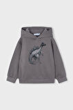Erkek Çocuk Dinozor Baskılı Kapüşonlu Sweatshirt - Gri | 4 Yaş