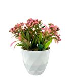Yapay Çiçek Beyaz Saksıda Pembe Boncuk Cipso Çiçeği Dekoratif Masa Çiçeği