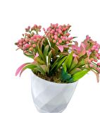 Yapay Çiçek Beyaz Saksıda Pembe Boncuk Cipso Çiçeği Dekoratif Masa Çiçeği