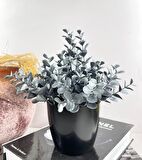 Yapay Çiçek Gümüş Renk Şimşir Siyah Saksıda Siyah Plastik Saksılı Dekoratif Süs Çiçeği