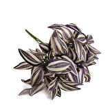 Yapay Çiçek Lila Çizgili Yaprak Demeti  Dikey Bahçe Uygulama Demeti 30 cm Yapay Bitki