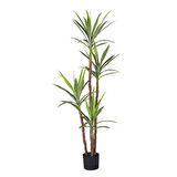 Yapay Ağaç Dracaena Ağacı 4Gövdeli 180 cm Premium Kalite