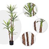 Yapay Ağaç Dracaena Ağacı 4Gövdeli 180 cm Premium Kalite