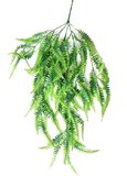 Yapay Çiçek Sarkan Boston Fern Yapay Sarmaşık ty70 Yeşil