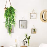 Yapay Çiçek Sarkan Boston Fern Yapay Sarmaşık ty70 Yeşil