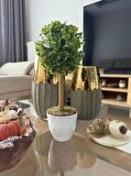 Yapay Ağaç Şimşir Top Tek Toplu 12x31cm Beyaz Saksıda 