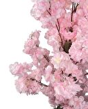 Yapay Ağaç Bahardalı Ağacı Pembe Japon Kiraz Çiçeği Sakura Çiçeği 80cm Siyah Plastik Saksılı
