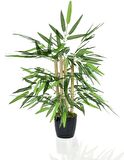 Yapay Ağaç Bambu Ağacı 4 Gövdeli 50X35 Siyah Plastik Saksılı