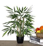 Yapay Ağaç Bambu Ağacı 4 Gövdeli 50X35 Siyah Plastik Saksılı