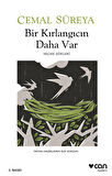 Bir Kırlangıcın Daha Var