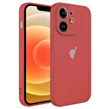 Apple iPhone 12 Uyumlu Kamera Korumalı Silikon İçi Kadife Lansman Kılıf