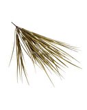 Yapay Çiçek Gold Altın Dore Grass Saz 50cm Bitki Yapay Çiçek Dekor Çiçeği Uzun Ot