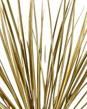 Yapay Çiçek Gold Altın Dore Grass Saz 50cm Bitki Yapay Çiçek Dekor Çiçeği Uzun Ot
