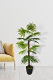Yapay Ağaç Yelpaze Palmiye Fanpalm 16 Yaprak 115*55cm