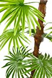 Yapay Ağaç Yelpaze Palmiye Fanpalm 16 Yaprak 115*55cm