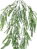 Yapay Çiçek Sarkan Çiçek Yeşil Kılçık Yapay Sarmaşık  60*30cm UV Katkılı Güneşe Dayanıklı