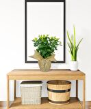 Yapay Çiçek Keten Saksıda Okaliptus Yeşil 12Dal 40cm Salon Çiçeği Yapay Bitki