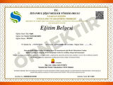 400 SAATLİK PROFESYONEL YAŞAM KOÇLUĞU EĞİTİMİ