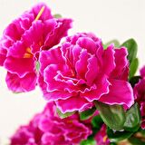 Yapay Çiçek Mor Açelya Demeti 7 Dallı 33*20cm