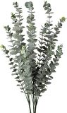 3lü Set Yapay Çiçek Pastel Yeşil Okaliptus 3Dallı Uzun Dal 76cm Eucalyptus