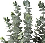 3lü Set Yapay Çiçek Pastel Yeşil Okaliptus 3Dallı Uzun Dal 76cm Eucalyptus