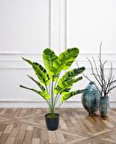 Yapay Çiçek Saksıda Çizgili Muz Yapraklı 12Dal 60cm Salon Çiçeği Yapay Bitki