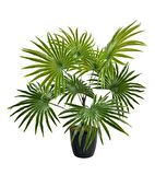 Yapay Çiçek Yelpaze Palmiye 8 Dal 50*40cm Salon Çiçeği Plastik Siyah Saksılı Yapay Bitki