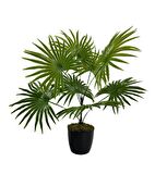 Yapay Çiçek Yelpaze Palmiye 8 Dal 50*40cm Salon Çiçeği Plastik Siyah Saksılı Yapay Bitki