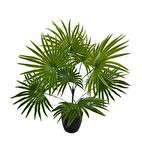 Yapay Çiçek Yelpaze Palmiye 8 Dal 50*40cm Salon Çiçeği Plastik Siyah Saksılı Yapay Bitki