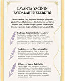Meditasyon İkilisi | Lavanta Yağı ve Mavi Desenli Buhurdanlık | %100 Doğal